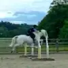 Hatties_spam - @hattiehunt5 - TikTok