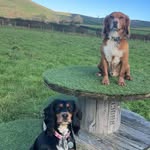 Hunter & Hattie - @hattieandhunter - Instagram