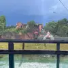 Hattie Lloyd - @hattie.lloyd1 - TikTok