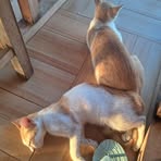 Hatea Mathis - Facebook