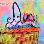 Hattie May - @_hattiemay_ - Instagram