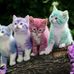 Hattie May - Facebook