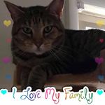 Hattie May Schermerhorn - @hattiemay_s - Instagram
