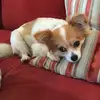 Harriet Mclean - @awesome_hattieandcharlie - TikTok
