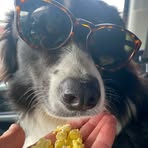 Hattie Mclean - Facebook
