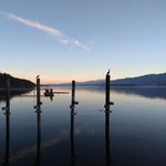 Hattie Murray - @angeline.murray3 - Instagram