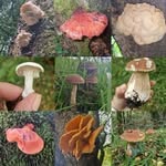 Hattie Parsons - @hattieparsonstopaz - Instagram