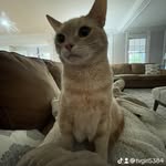 Hattie Patterson - @hattiepatterson13 - Instagram