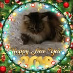 Hattie Patterson - Facebook