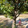 hattierushing - @hattierushing - TikTok