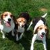 Hattie Small - Facebook