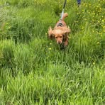 Hattie Stanley - Facebook