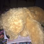 hattie weaver - @hattieweaver7715 - Instagram