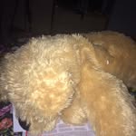 hattieweaver - @hattieweaver5870 - Instagram