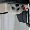 hattiewebb13127 - @hattiewebb13127 - TikTok