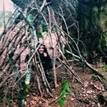 Hattie Whitehead - @hattiew - Instagram
