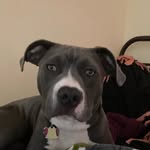 Hattie jae wiggins - @hatie_jae_2020 - Instagram