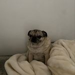 @hattie.wright - Instagram