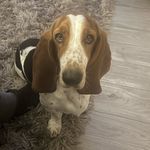 Hattie Wright🐾 - @hattie.wright20 - Instagram