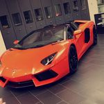 Haven Allen - @allen_haven - Instagram