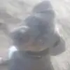Haven Chapman Webber falls - @haven.chapman.web - TikTok