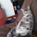 Haven Davis - Facebook