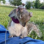 Haven Davis - @camo_country_girl_02 - Instagram