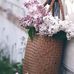 Hawa Ali - Facebook