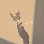 Hawa Ali - @hawa_ali02 - Instagram