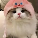 Hawadia_15 - @hawadia_15 - Instagram