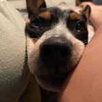 Haydeé Carrillo - @haycar26 - Instagram