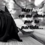 Haydee Colon - @sotohaydee - Instagram