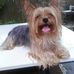 Haydee Estrada - Facebook