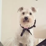 Luz Haydee Estrella - @luzhaydeeestrella - Instagram
