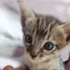 Haydee Rojas - @haydee.rojas75 - TikTok