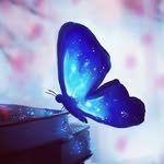 Haydee Vazquez - @haydee.vazquez.12327 - Instagram