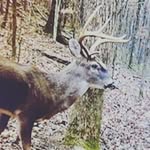Hayden Armstrong - @hayden_a259 - Instagram