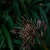 Hayden Armstrong - @hden.photography - TikTok