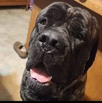 Hayden Ashley - Facebook