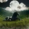 Hayden - @hayden.barrow1024 - TikTok