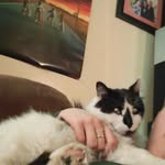 Hayden Bates - @hayden.bates.47 - Instagram