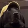 HaydenBates2709 - @haydenbates2709 - TikTok