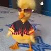 hayden baum - @ykhayden - TikTok