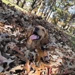 Hayden Baxter - @_hayden.baxter_ - Instagram