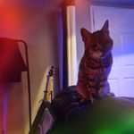 Hayden Baxter-Cesar - @c3sarman - Instagram