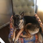 Hayden bean - @hayden_koolbean - Instagram