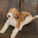Hayden Becker - @haydenbk3 - Instagram