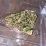 Hayden BElCHER - @lil_hayden0187 - Instagram