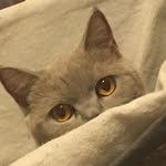 Hayden Burns - @hayden.burns.794 - Instagram