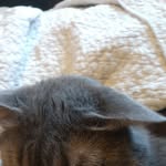 Hayden Carpenter - @hayden.carpenter.7503 - Instagram